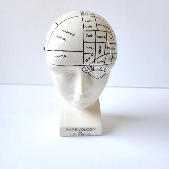 Phrenology Head ceramic porcelain medical terms decor - Picture 1 of 9